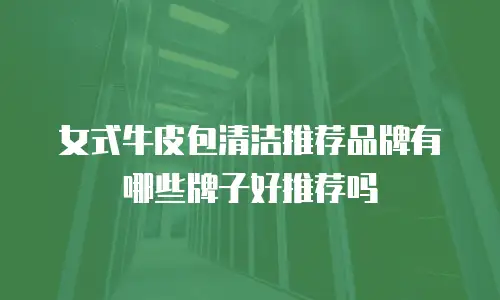 女式牛皮包清洁推荐品牌有哪些牌子好推荐吗