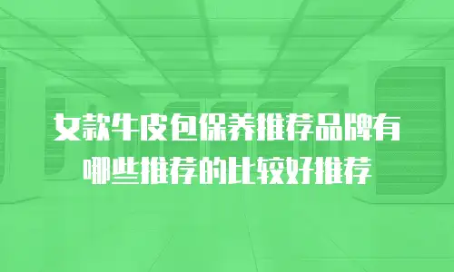 女款牛皮包保养推荐品牌有哪些推荐的比较好推荐