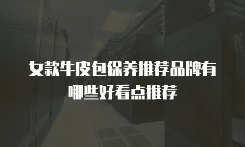 女款牛皮包保养推荐品牌有哪些好看点推荐