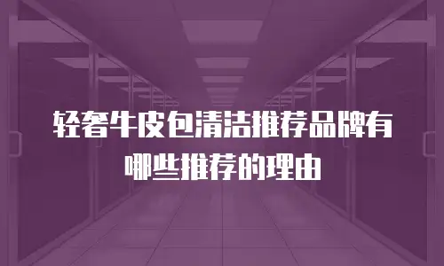 轻奢牛皮包清洁推荐品牌有哪些推荐的理由