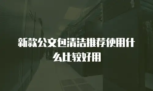 新款公文包清洁推荐使用什么比较好用