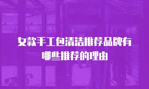 女款手工包清洁推荐品牌有哪些推荐的理由