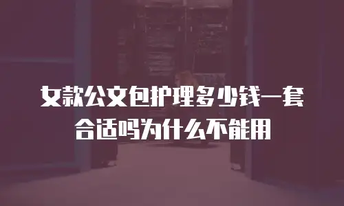 女款公文包护理多少钱一套合适吗为什么不能用