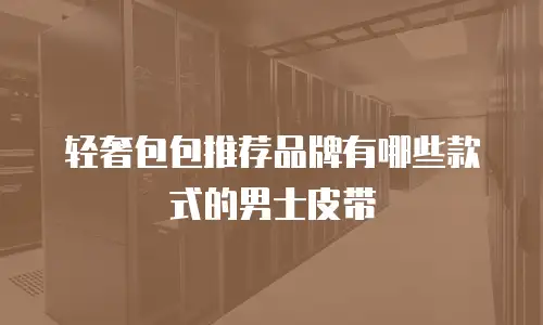 轻奢包包推荐品牌有哪些款式的男士皮带