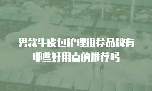 男款牛皮包护理推荐品牌有哪些好用点的推荐吗