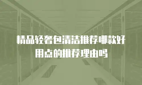 精品轻奢包清洁推荐哪款好用点的推荐理由吗