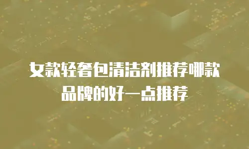 女款轻奢包清洁剂推荐哪款品牌的好一点推荐