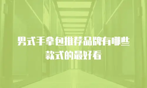 男式手拿包推荐品牌有哪些款式的最好看