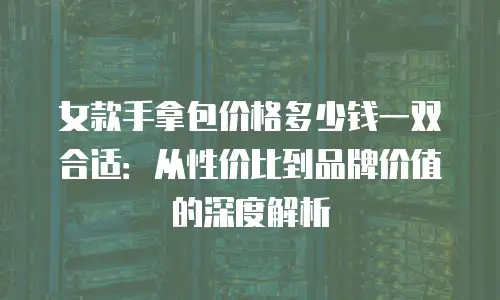 女款手拿包价格多少钱一双合适：从性价比到品牌价值的深度解析