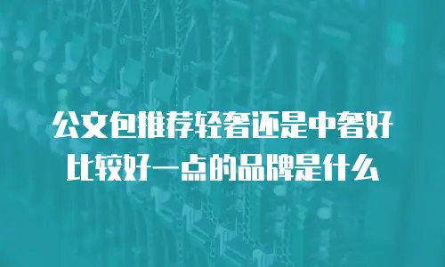 公文包推荐轻奢还是中奢好比较好一点的品牌是什么