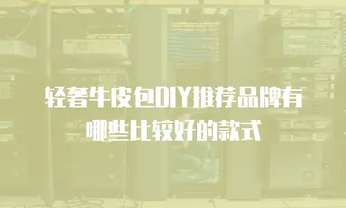 轻奢牛皮包DIY推荐品牌有哪些比较好的款式