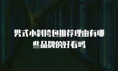 男式小斜挎包推荐理由有哪些品牌的好看吗
