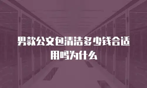 男款公文包清洁多少钱合适用吗为什么