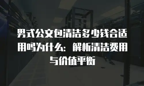 男式公文包清洁多少钱合适用吗为什么：解析清洁费用与价值平衡