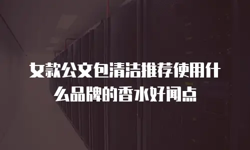女款公文包清洁推荐使用什么品牌的香水好闻点