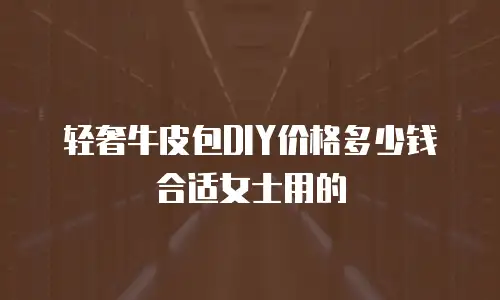 轻奢牛皮包DIY价格多少钱合适女士用的