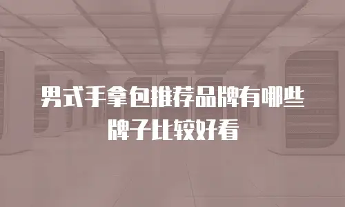男式手拿包推荐品牌有哪些牌子比较好看
