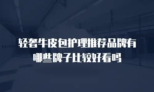 轻奢牛皮包护理推荐品牌有哪些牌子比较好看吗