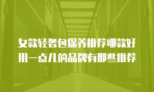 女款轻奢包保养推荐哪款好用一点儿的品牌有那些推荐