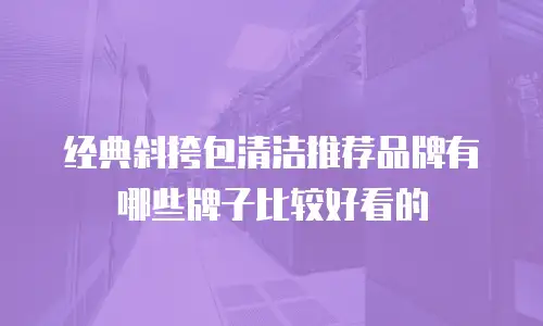 经典斜挎包清洁推荐品牌有哪些牌子比较好看的