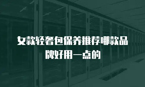 女款轻奢包保养推荐哪款品牌好用一点的
