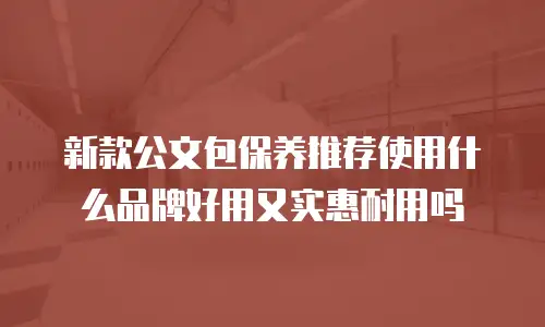 新款公文包保养推荐使用什么品牌好用又实惠耐用吗