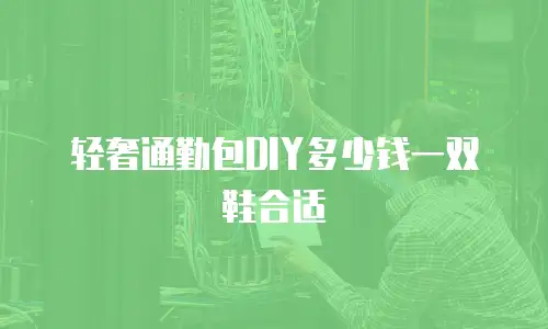 轻奢通勤包DIY多少钱一双鞋合适