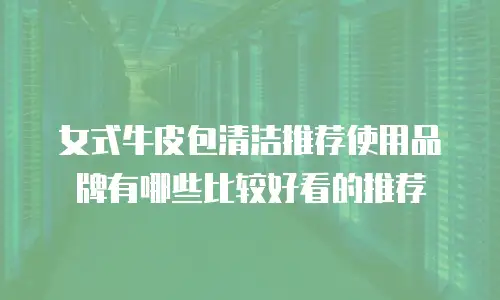 女式牛皮包清洁推荐使用品牌有哪些比较好看的推荐