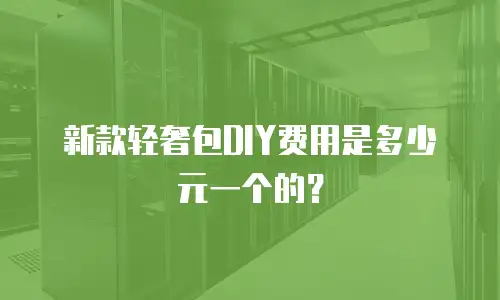 新款轻奢包DIY费用是多少元一个的？