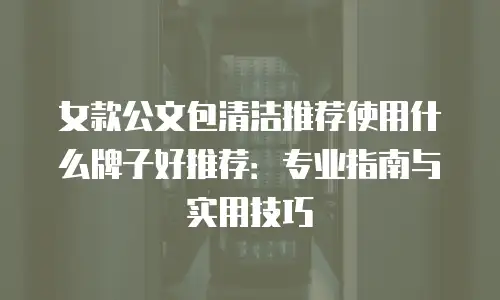 女款公文包清洁推荐使用什么牌子好推荐：专业指南与实用技巧