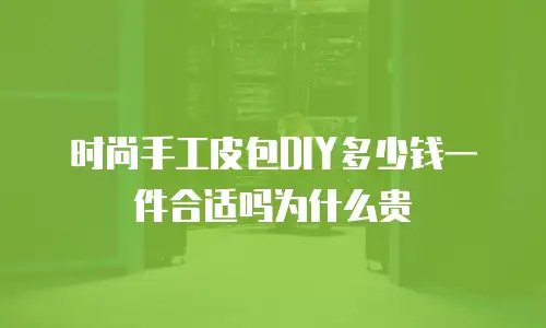 时尚手工皮包DIY多少钱一件合适吗为什么贵