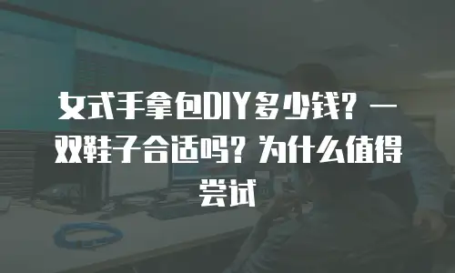 女式手拿包DIY多少钱？一双鞋子合适吗？为什么值得尝试
