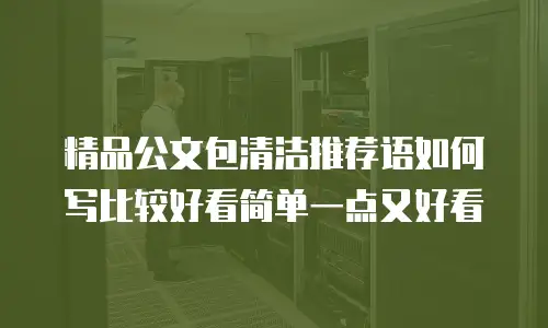 精品公文包清洁推荐语如何写比较好看简单一点又好看