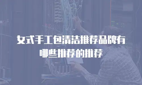 女式手工包清洁推荐品牌有哪些推荐的推荐