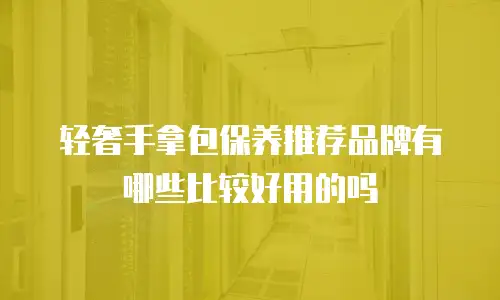 轻奢手拿包保养推荐品牌有哪些比较好用的吗
