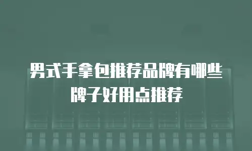 男式手拿包推荐品牌有哪些牌子好用点推荐