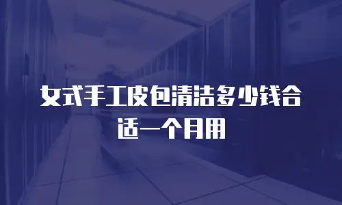 女式手工皮包清洁多少钱合适一个月用