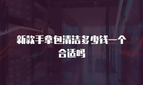 新款手拿包清洁多少钱一个合适吗