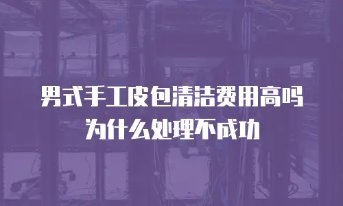 男式手工皮包清洁费用高吗为什么处理不成功