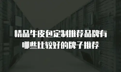 精品牛皮包定制推荐品牌有哪些比较好的牌子推荐