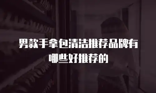 男款手拿包清洁推荐品牌有哪些好推荐的