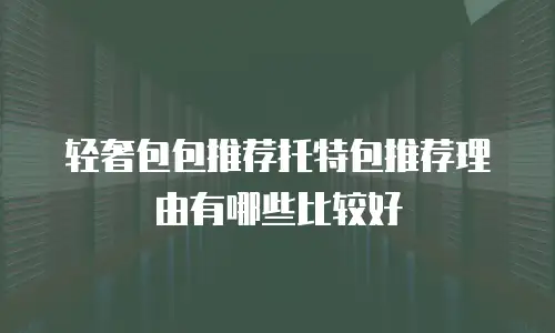 轻奢包包推荐托特包推荐理由有哪些比较好