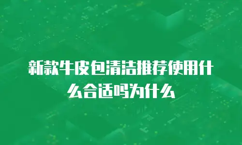 新款牛皮包清洁推荐使用什么合适吗为什么
