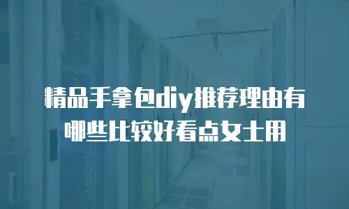 精品手拿包diy推荐理由有哪些比较好看点女士用