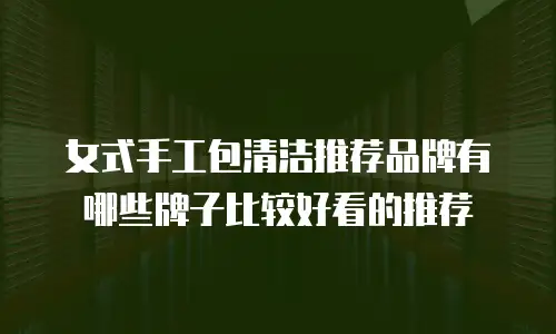 女式手工包清洁推荐品牌有哪些牌子比较好看的推荐