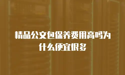 精品公文包保养费用高吗为什么便宜很多