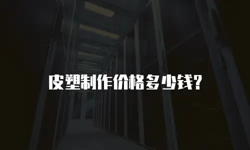 皮塑制作价格多少钱？