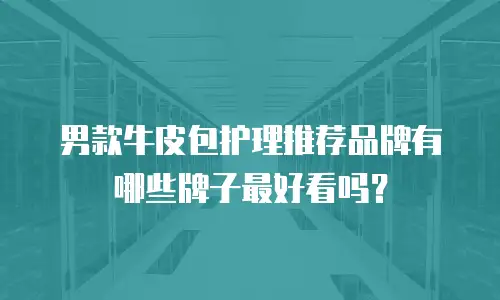 男款牛皮包护理推荐品牌有哪些牌子最好看吗？