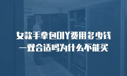 女款手拿包DIY费用多少钱一双合适吗为什么不能买