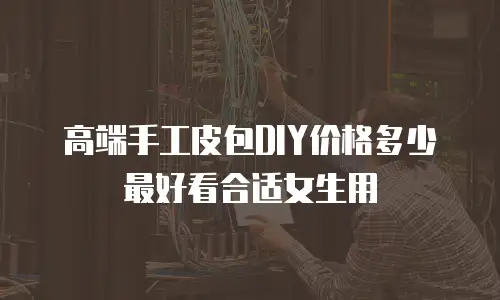 高端手工皮包DIY价格多少最好看合适女生用